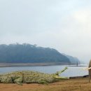 사르코수쿠스 이미지