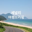 2025년 5~6월 해외여행 트렌드 분석 리포트(파일 첨부)