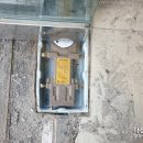 풍동라파엘 동물병원 이미지