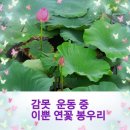 압량읍행정복지센터 네이버블로그