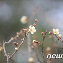 진안읍 1414 이미지