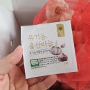 설초록홍화