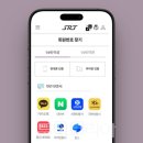 비둘기여행사 이미지
