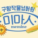 구황작물 이미지