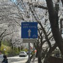 마고실민박 이미지