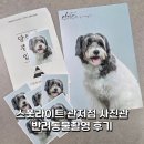 멍단장 | [소리소문 EP. 104] 관저동증명사진 잘하는곳 | 강아지증멍사진 | 스폿라이트 관저점 사진관 후기