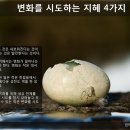 삼대인력 이미지