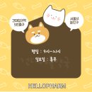 애플동물약국 이미지