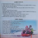 41개월아이랑 용인 양지파인리조트 눈썰매장 내돈내산 리뷰