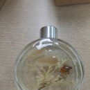 청주 향수공방 센트유 체험 후기