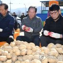 춘천농협 경제사업소 이미지