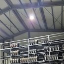 타이어판다 이미지