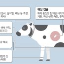 영훈축산 매일경제