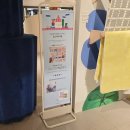핸디하우스 | 잠실 가볼만한곳 시시호시 기프트 하우스 방문 후기 센스 있는 선물 추천 리스트