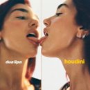 Dua Lipa / Houdini (원key Dm) mr 이미지