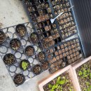 효심 농장 이미지