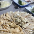 해물&빼떼기 | 거제 코끼리 왕우럭조개 맛집 해물&amp;빼떼기 솔직 후기