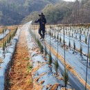 유계리 농장 이미지