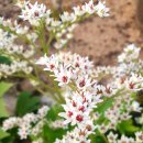 화남보건지소 이미지