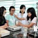 그린다우 이미지