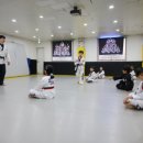 용인대 석사 타이거즈 태권도장 이미지