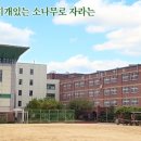 동작고등학교 이미지