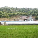 늘밤농원 네이버블로그