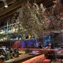 The Menu | [오클랜드 맛집] Masu by Nic Watt 🍣 Signature Shomi Menu 일식 6코스 후기
