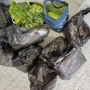 고수농장 이미지