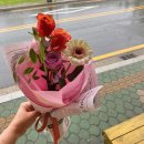 완월동145 | 마산꽃다발 마산꽃바구니 월영동꽃집 교방동꽃집 완월동꽃집 마산꽃배달 꽃배송 미니꽃다발 한송이...