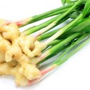 생강약국 이미지