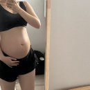 빵빵32