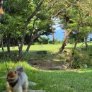 원주굽이길 5코스 호국의길 이미지