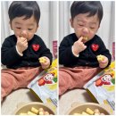 요거팜 이미지