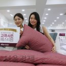 이덕아이앤씨서울 서울경제