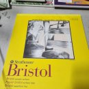 보태니컬아트(색연필꽃그림) / 강좌번호 8 | (보태니컬아트)전용지리뷰