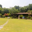 커피꽃향기 이미지