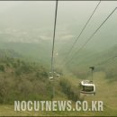 보성카정비 이미지