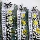 중앙효요양병원 이미지