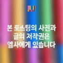 주차60 | 종로계림닭도리탕원조-주차,60년 전통가성비 맛집,솔직후기