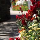 마릴린호텔 이미지