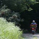 홍천우체국 이미지