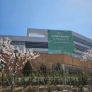 신안국민체육센터 복지회관 | 너무 기대했나..쪼꼼 실망한 솔직후기 "동백미르휴먼센터 수영장'_(무료운영기간 이용, + 강습시간 변동)