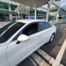 펫택시콜 이미지