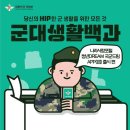 [군대생활백과 : 나라사랑포털 청년DREAM 국군드림 앱 출시] 이미지