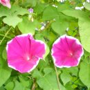 원일공원 이미지