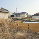 신언리 101 이미지