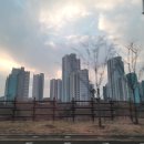 옥정3단지 이미지