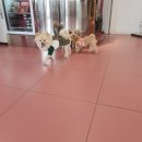 카페미밍코 이미지