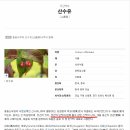 우리정원식품